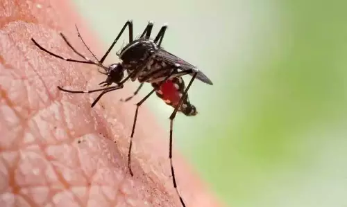Assam: एसटीआई हब कोकराझार ने सिम्बरगांव में मलेरिया जागरूकता और स्वास्थ्य अभियान चलाया