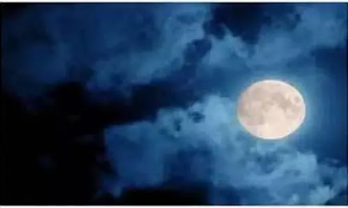 Paush Darsh Amavasya 2024: दर्श अमावस्या के दिन करें ये उपाय, मिलेगा पितरों का आशीर्वाद