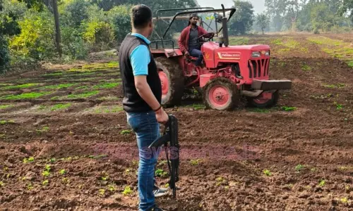 Latehar: पुलिस ने चार एकड़ में लगी अफीम की फसल को किया नष्ट