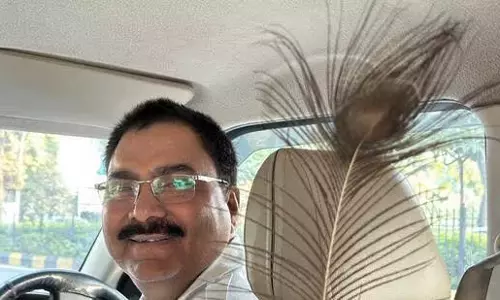 Delhiwale: मोरपंखी वाला Delhiwale: मोरपंखी वाला