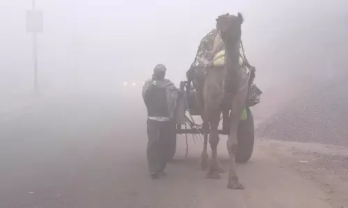 राजस्थान में अत्यधिक ठंड पड़ रही राजस्थान में अत्यधिक ठंड पड़ रही