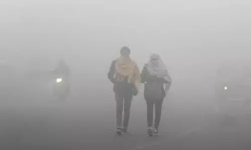 Weather : महाराष्ट्र के कई हिस्सों में कड़ाके की ठंड, तापमान 7.8 डिग्री सेल्सियस