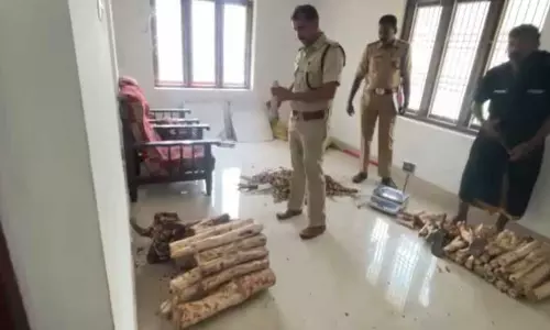 Kerala : कोझिकोड में बड़े पैमाने पर चंदन की तस्करी का भंडाफोड़ 200 किलोग्राम चंदन जब्त Kerala : कोझिकोड में बड़े पैमाने पर चंदन की तस्करी का भंडाफोड़ 200 किलोग्राम चंदन जब्त