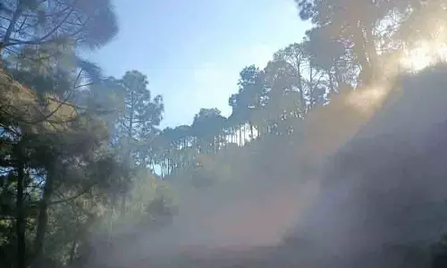 Kasauli के ग्रामीण इलाकों की धूल भरी सड़कें यात्रियों को परेशान करती Kasauli के ग्रामीण इलाकों की धूल भरी सड़कें यात्रियों को परेशान करती