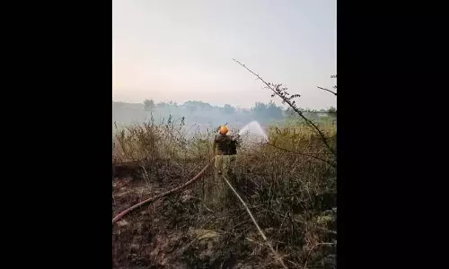 South Dinajpur में भारत-बांग्लादेश सीमा के पार जमीन पर आग