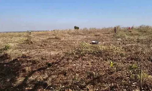 Telangana: कीमतों में उतार-चढ़ाव से लाल चना उत्पादक किसान परेशान