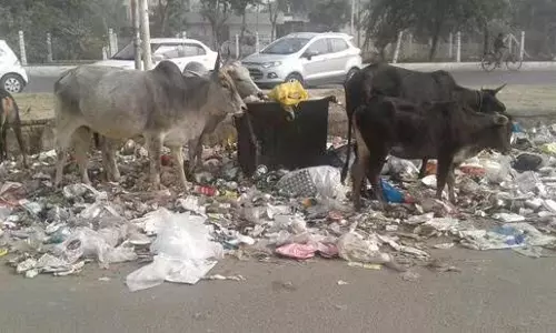 Greater Noida : अपशिष्ट प्रसंस्करण के लिए अस्तोली में सुविधा स्थापित करेगा प्रशासन