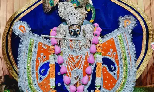 नौगांवा सांवलिया सेठ का किया भव्य श्रृंगार, Darshan को जिले भर से पहुंचें भक्त