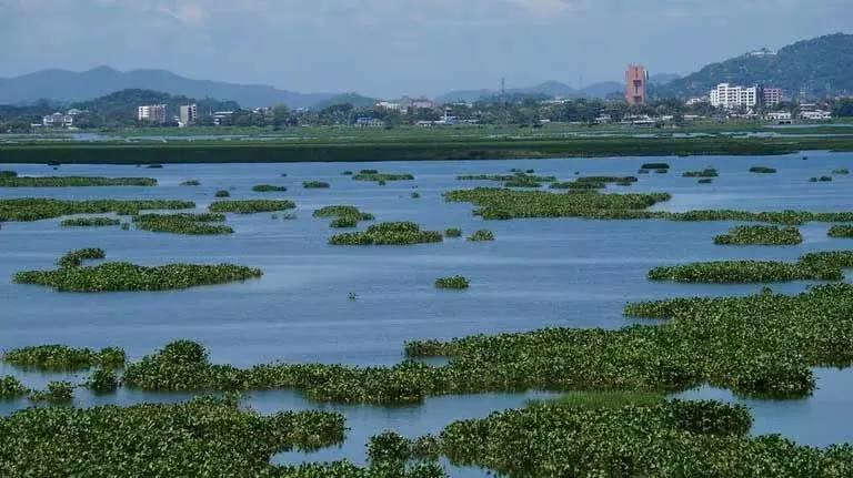 Assam : बेलोरटोल में कचरा डंपिंग के कारण दीपोर बील का पारिस्थितिकी तंत्र खतरे में