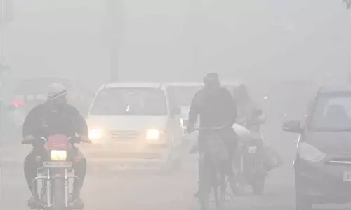 Punjab में फरीदकोट सबसे ठंडा, पारा जमाव बिंदु के करीब
