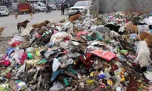 KR Impact: वाटलर में कचरा निपटान से निवासियों को राहत मिली KR Impact: वाटलर में कचरा निपटान से निवासियों को राहत मिली