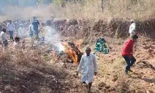 Rajasthan: चित्तौड़गढ़ भीलवाड़ा हाईवे पर गाड़ी की टक्कर से लेपर्ड की मौत हुई