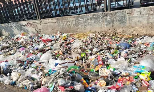 Haryana : खराब कचरा संग्रहण और डंपिंग एक प्रमुख नागरिक मुद्दा बना हुआ