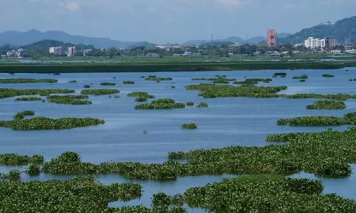 Assam : बेलोरटोल में कचरा डंपिंग के कारण दीपोर बील का पारिस्थितिकी तंत्र खतरे में Assam : बेलोरटोल में कचरा डंपिंग के कारण दीपोर बील का पारिस्थितिकी तंत्र खतरे में