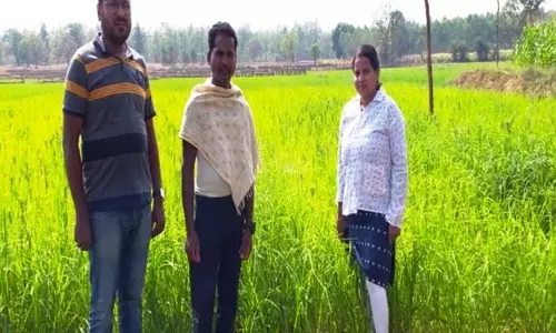 उन्नत कृषि तकनीक को अपनाकर चौतू नेताम बना सफल कृषक