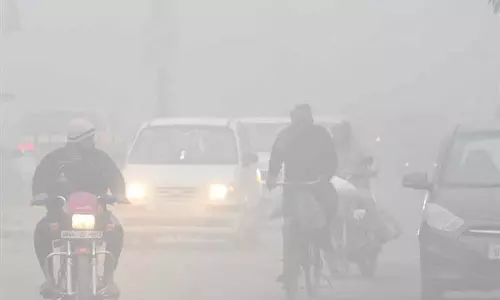 Punjab में फरीदकोट सबसे ठंडा, पारा जमाव बिंदु के करीब Punjab में फरीदकोट सबसे ठंडा, पारा जमाव बिंदु के करीब