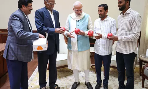 NCP-SCP प्रमुख शरद पवार ने पीएम मोदी से की मुलाकात, उन्हें महाराष्ट्र के अनार भेंट किए