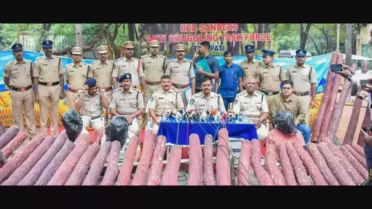 Tirupati: गुजरात में छापेमारी में 3.5 करोड़ रुपये मूल्य के लाल चंदन जब्त Tirupati: गुजरात में छापेमारी में 3.5 करोड़ रुपये मूल्य के लाल चंदन जब्त
