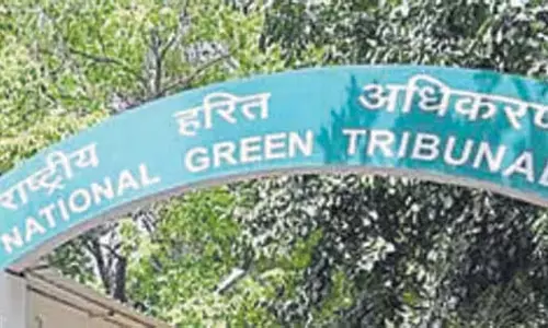 Pune: एनजीटी ने सरकारी अधिकारियों पर लगाया 1.30 लाख का जुर्माना Pune: एनजीटी ने सरकारी अधिकारियों पर लगाया 1.30 लाख का जुर्माना