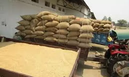 Nirsa में FCI गोदाम से चोरी करते युवक गिरफ्तार, 7 बोरी चावल जब्त Nirsa में FCI गोदाम से चोरी करते युवक गिरफ्तार, 7 बोरी चावल जब्त