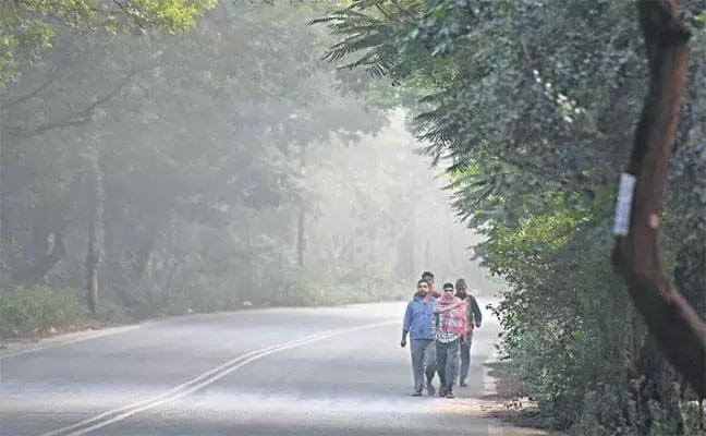 हैदराबाद मौसम पूर्वानुमान और AQI आज 19 दिसंबर: 17.73 °C पर गर्म शुरुआत