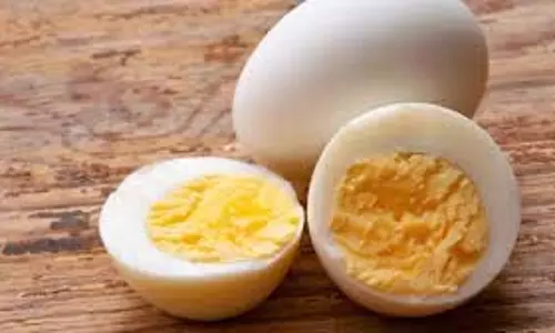 Health: सर्दियों में रोज खाएं सिर्फ 2 अंडे, मिलेंगे फायदे Health: सर्दियों में रोज खाएं सिर्फ 2 अंडे, मिलेंगे फायदे
