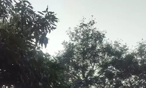 छत्तीसगढ़ में मौसम विभाग अपडेट छत्तीसगढ़ में मौसम विभाग अपडेट