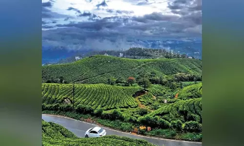Kerala: मुन्नार में तापमान छह डिग्री तक गिरने से पर्यटन में उछाल Kerala: मुन्नार में तापमान छह डिग्री तक गिरने से पर्यटन में उछाल