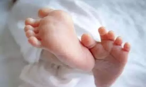 Haryana:  मानवता शर्मसार, झाड़ियों में मिला नवजात का शव