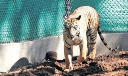 Jharkhand के गांवों में जीनत का खौफ