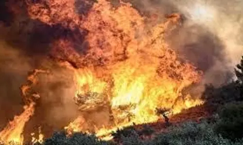 Himachal Pradesh:  जंगल में लगी भीषण आग, करीब 2 हेक्टेयर जंगल जलकर राख