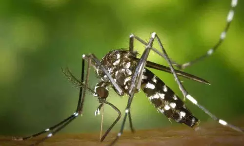Nellore में 5 वर्षीय लड़के में जीका वायरस की पुष्टि Nellore में 5 वर्षीय लड़के में जीका वायरस की पुष्टि