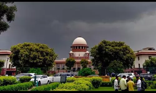 Delhi में एक हजार दिनों में 12,000 से अधिक पेड़ काटे गए Delhi में एक हजार दिनों में 12,000 से अधिक पेड़ काटे गए