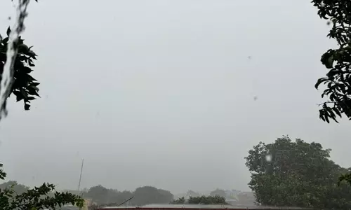 Odisha में अगले पांच दिनों तक हल्की से मध्यम बारिश होने की संभावना, जानें विस्तृत जानकारी