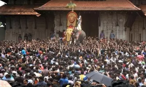 SC ने मंदिर उत्सवों में हाथियों के इस्तेमाल पर केरल हाईकोर्ट के प्रतिबंध पर रोक लगाई