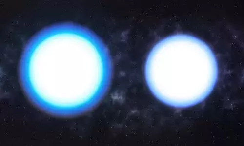 White Dwarfs: फूले हुए सफेद बौने रहस्यमयी डार्क मैटर पर प्रकाश White Dwarfs: फूले हुए सफेद बौने रहस्यमयी डार्क मैटर पर प्रकाश