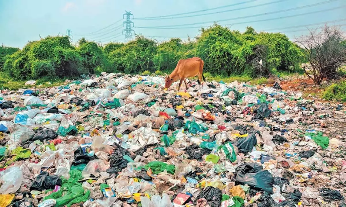 Tamil Nadu: केरल में बायोमेडिकल कचरे की डंपिंग में मदद करने के आरोप में दो लोग गिरफ्तार