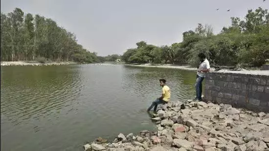 एनजीटी को बताया गया कि सूचीबद्ध जल निकायों में से आधे अस्तित्वहीन हैं: Delhi