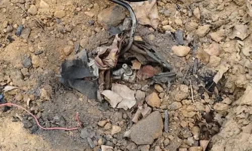 5 सीरियल बम बीजापुर में बरामद, फोर्स बाल-बाल बचे