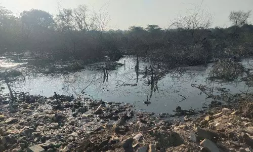 CDLU के पास टूटी सीवर लाइन से सिरसा में स्वास्थ्य और यातायात संबंधी समस्याएं