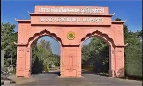 Ludhiana: पीएयू विशेषज्ञ , बारिश नहीं होने से सूखा जारी रहेगा Ludhiana: पीएयू विशेषज्ञ , बारिश नहीं होने से सूखा जारी रहेगा