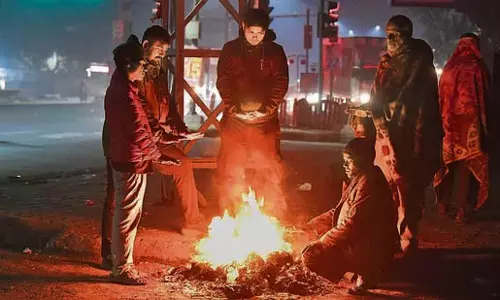 Experts ,पारे में गिरावट से गेहूं की वृद्धि को मदद मिलेगी