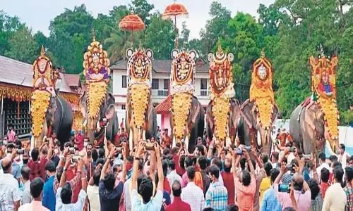 Kerala: सुप्रीम कोर्ट ने हाथियों की परेड संबंधी केरल हाईकोर्ट के नियमों पर रोक लगाई