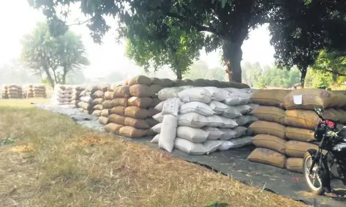 Odisha: धान बिक्री के लिए 1.4 लाख संदिग्ध भूखंड पंजीकृत