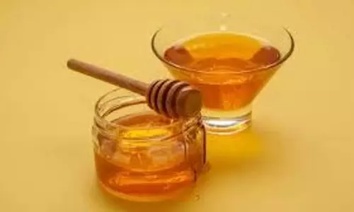 Health: गुनगुने पानी में एक चम्मच शहद मिलाकर एक महीने तक रोजाना पिएं, शरीर की इन समस्याओं से मिलेगी राहत Health: गुनगुने पानी में एक चम्मच शहद मिलाकर एक महीने तक रोजाना पिएं, शरीर की इन समस्याओं से मिलेगी राहत