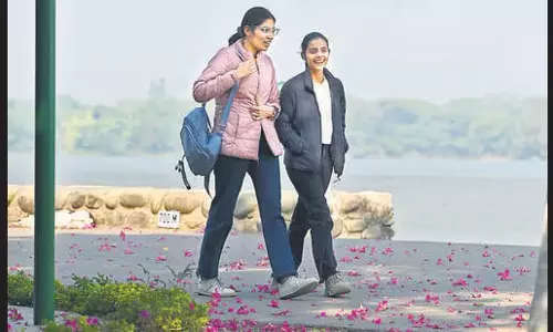 Chandigarh में रात का तापमान बढ़ा, लेकिन कोहरे से सावधान रहें