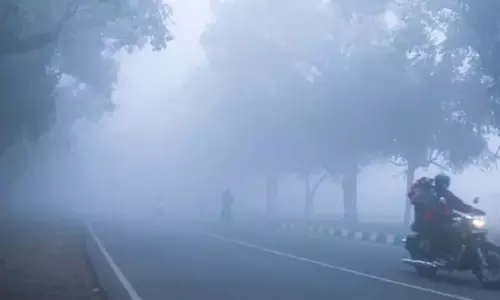 हरियाणा मौसम पूर्वानुमान और AQI20 दिसंबर: न्यूनतम और अधिकतम तापमान देखें