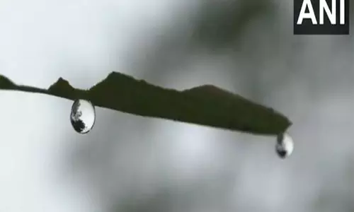 Odisha के मयूरभंज में भीषण ठंड, घने कोहरे के कारण दृश्यता में बाधा