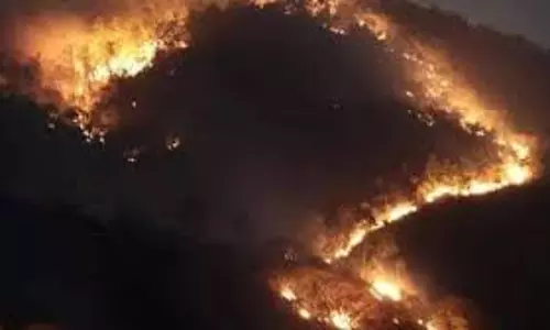 Tarala जंगल में भड़की आग ,लाखों की इमारती लकड़ी जली Tarala जंगल में भड़की आग ,लाखों की इमारती लकड़ी जली
