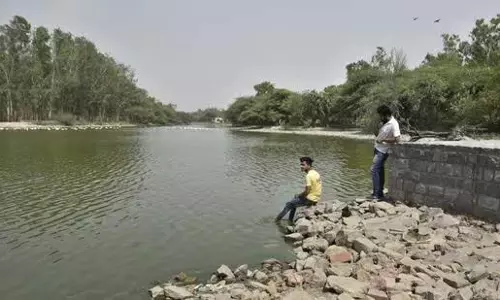 एनजीटी को बताया गया कि सूचीबद्ध जल निकायों में से आधे अस्तित्वहीन हैं: Delhi एनजीटी को बताया गया कि सूचीबद्ध जल निकायों में से आधे अस्तित्वहीन हैं: Delhi